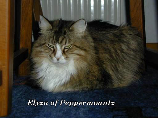 Elyza of Peppermoutz