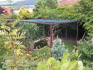 outdoor, view from outside, downstairs